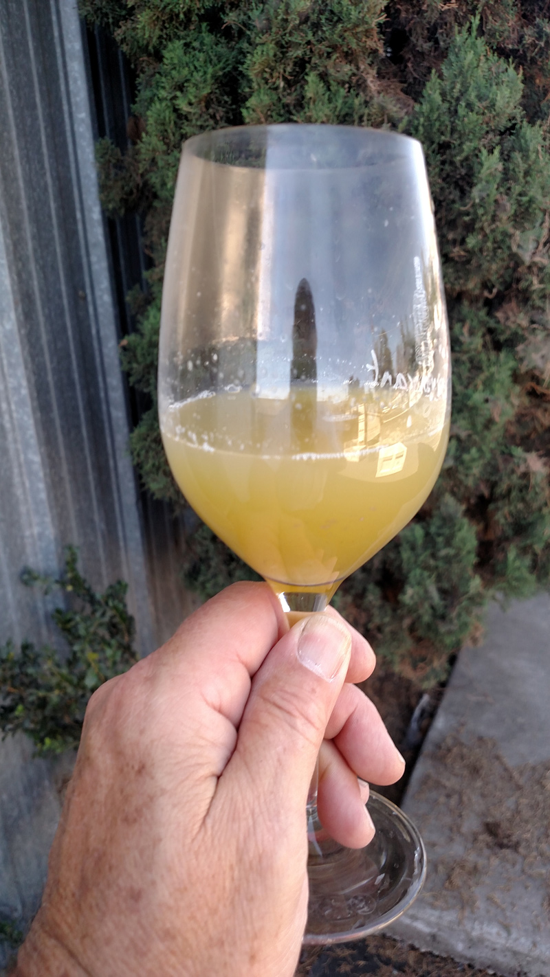 First pressing with Viognier