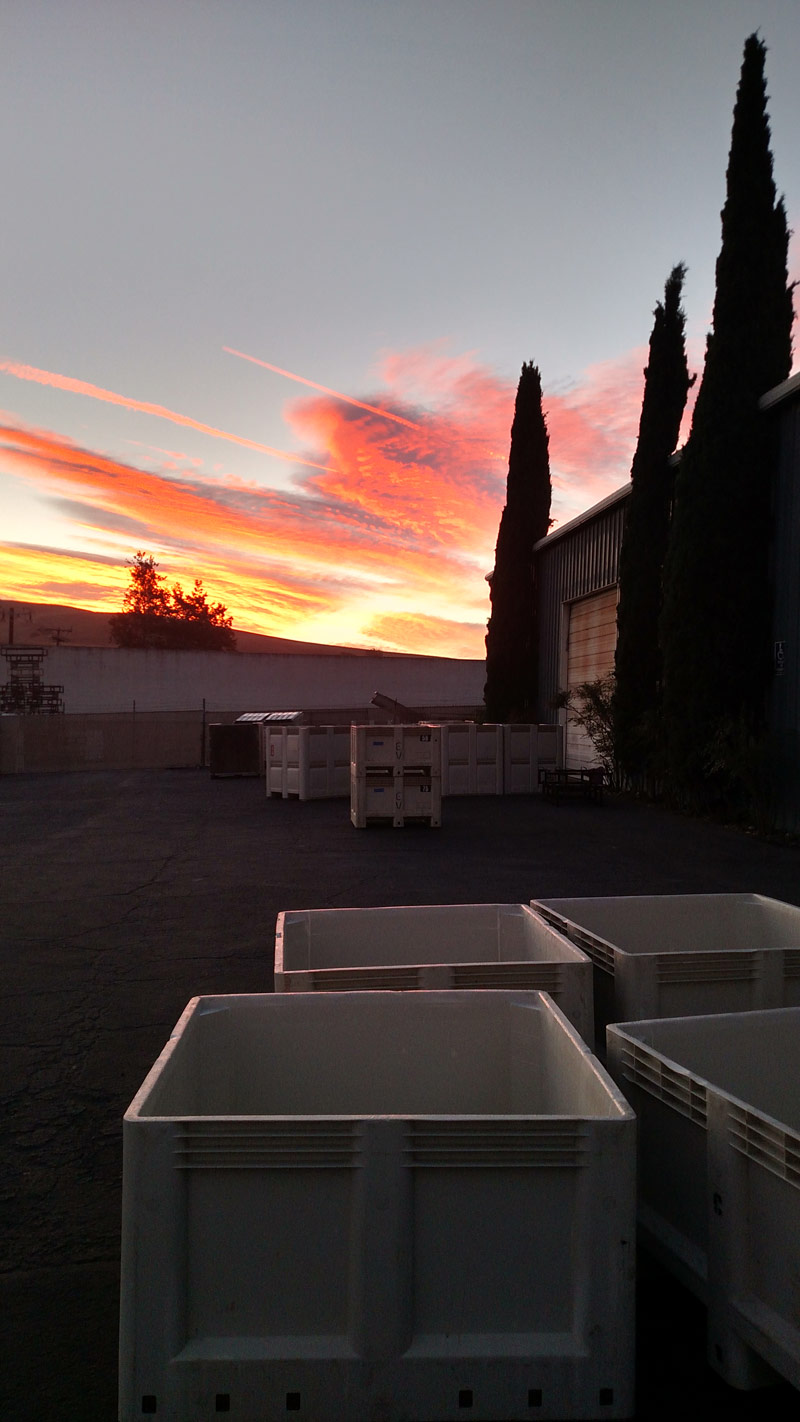 Sunrise start at the winery.